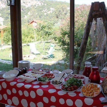 Villa Iz Çıralı Dış mekan fotoğraf
